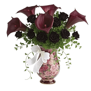 Elegant Calla Lilies