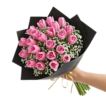 Velvet Tulip Display