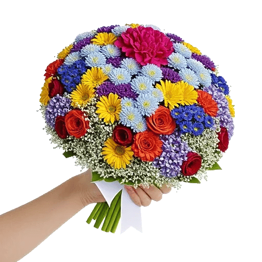 Petal Harmony Bliss