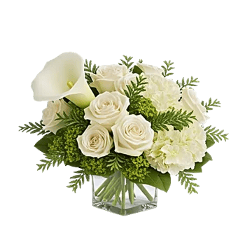 Elegant Calla Lilies