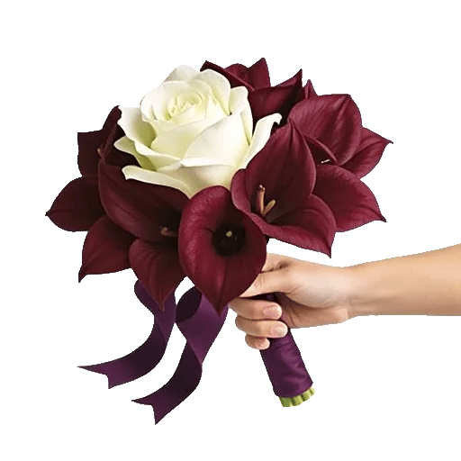 Blushing Rose Symphony