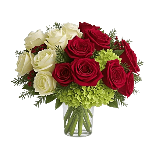 Ivory Blossom Radiance