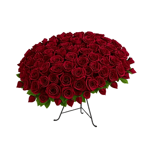 Crimson Rose Elegance
