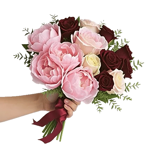 Peony Petal Harmony
