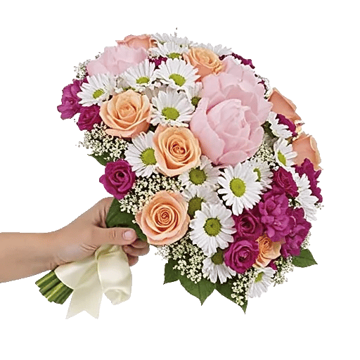 Peony Petal Harmony