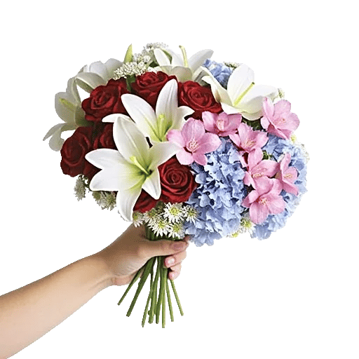 Blossom Harmony Display