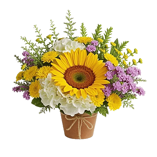 Amber Sunflower Glow