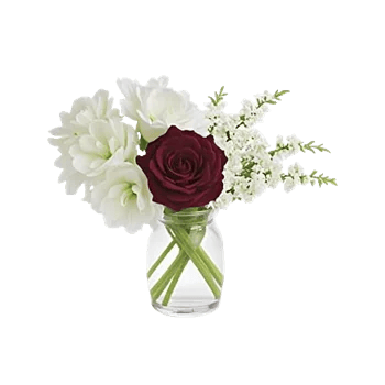 Petal Softness Display