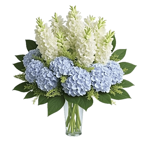 Ivory Blossom Radiance