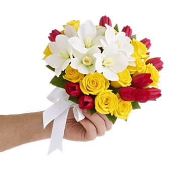 Modern White Orchids