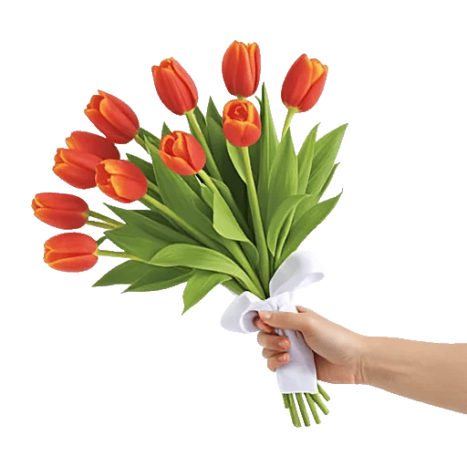 Blossom Glow Symphony