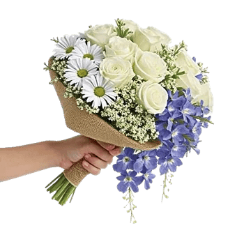 Ivory Blossom Radiance