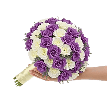 Pastel Pink Roses