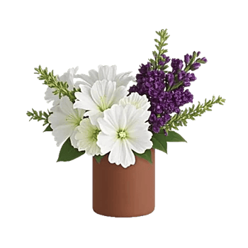 Petal Softness Display