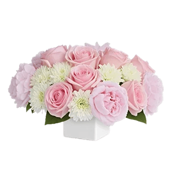 Delicate Petal Cascade