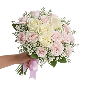 Pastel Pink Roses