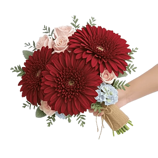Crimson Blossom Harmony