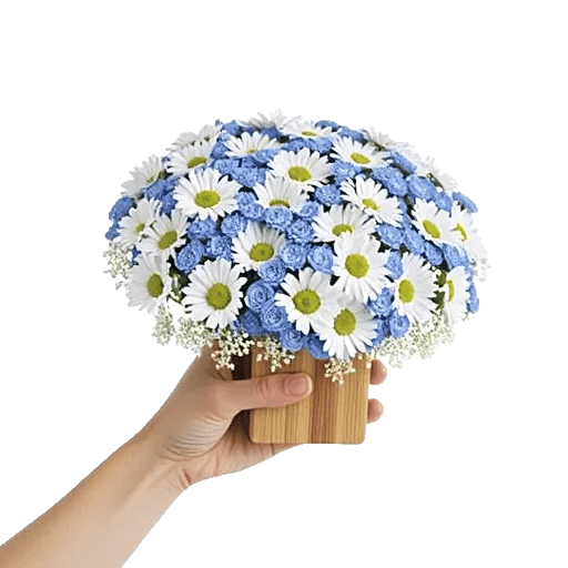 Blossom Petal Serenity