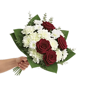 Crimson Rose Elegance