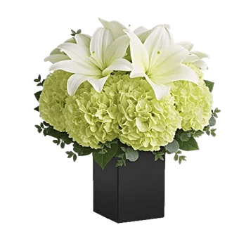 Ivory Blossom Radiance