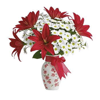 Crimson Lily Glow