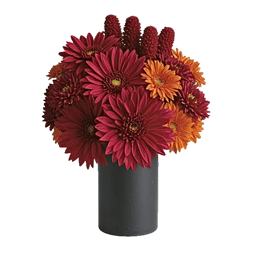 Crimson Blossom Harmony