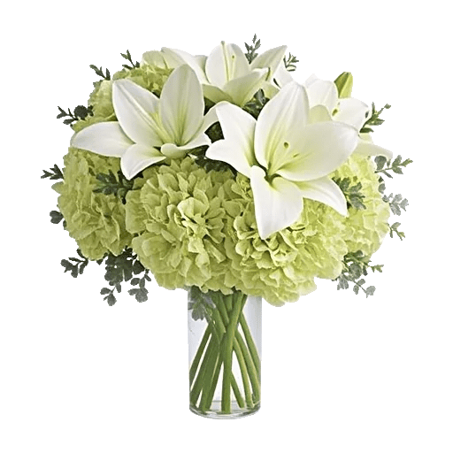 Ivory Blossom Radiance