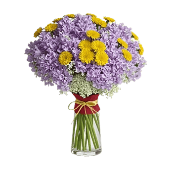 Ivory Blossom Radiance