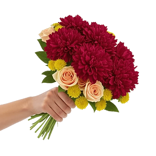 Crimson Rose Elegance