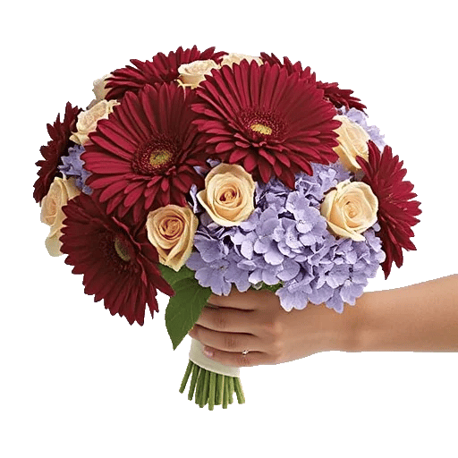 Crimson Blossom Harmony