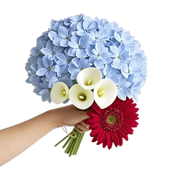 Azure Sky Blooms