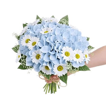 Serene Petal Harmony