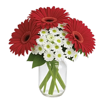 Petal Radiance Bliss