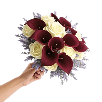 Elegant Calla Lilies