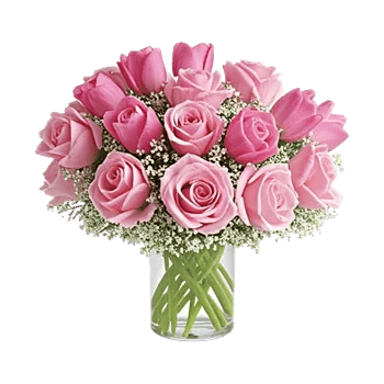 Velvet Tulip Display