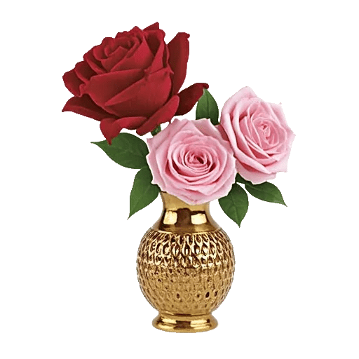 Radiant Rose Symphony