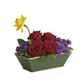 Blossom Harmony Display