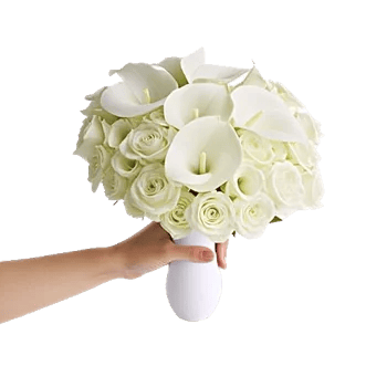 Elegant Calla Lilies