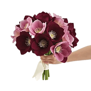 Rosemary Bloom Elegance