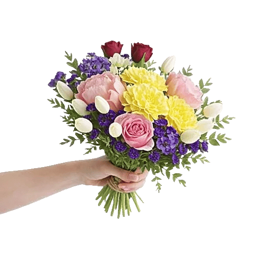 Petal Radiance Bliss