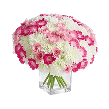 Delicate Petal Cascade