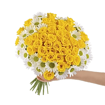 Petal Radiance Bliss