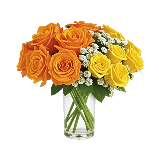 Radiant Rose Symphony