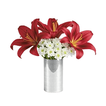 Crimson Lily Glow