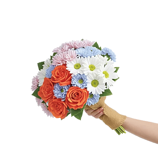 Petal Harmony Bliss