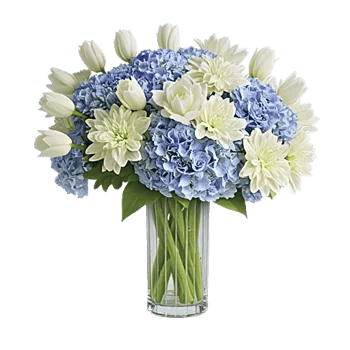 Ivory Blossom Radiance