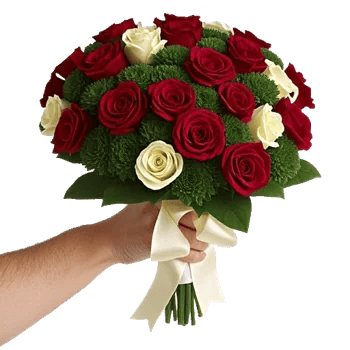 Crimson Rose Elegance