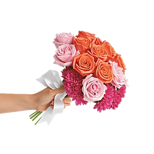 Petal Radiance Bliss