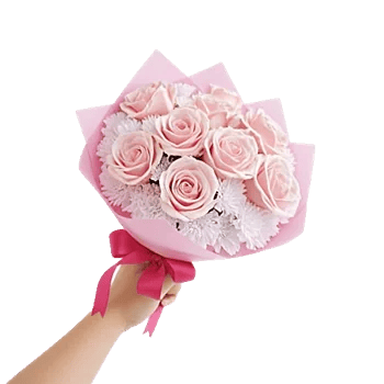 Blushing Rose Symphony