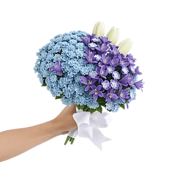 Elegant Blue Roses
